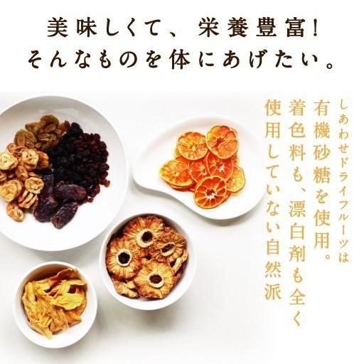 ワイルドブルーベリー 500g アメリカ産 ブルーベリー ドライフルーツ 送料無料 数量限定入荷｜tamachanshop｜04