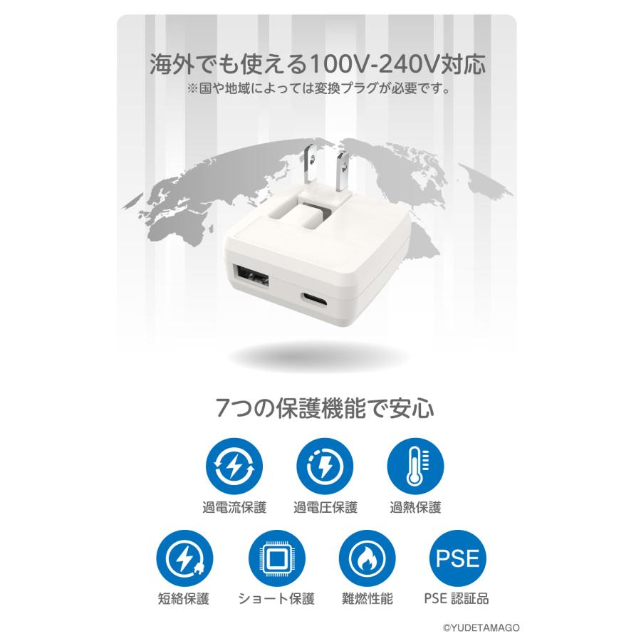 [2本組]パワーアップ 波動 健康アンクレット（BL/W 250mm) AP-14_2-45_1-768x768.jpg