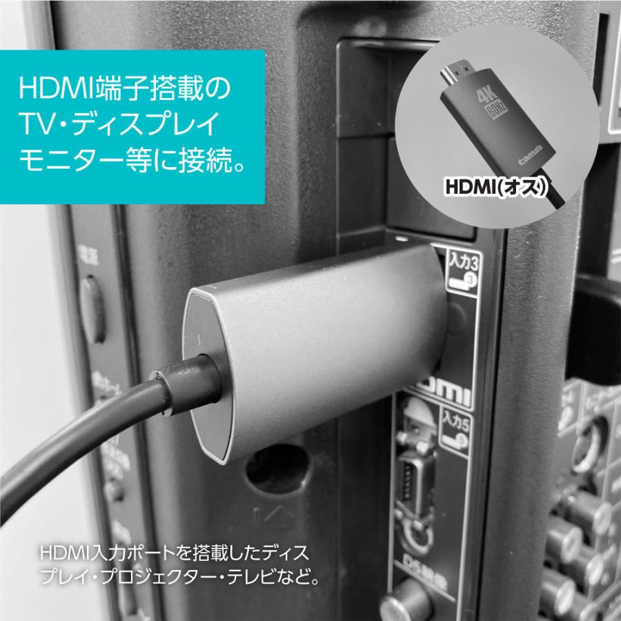 ４Ｋ　６０Ｈｚ対応　ＨＤＭＩケーブル　３．０ｍ　ＵＳＢ　ＴｙｐｅーＣプラグ　テレワーク　ＳＫ８８Ｈ５０モデル｜tamadenco｜10