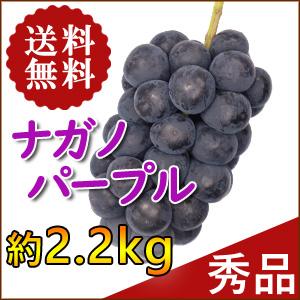 ナガノパープル 秀品（約2200g） 4房 （長野県産 高級ぶどう 産地直送