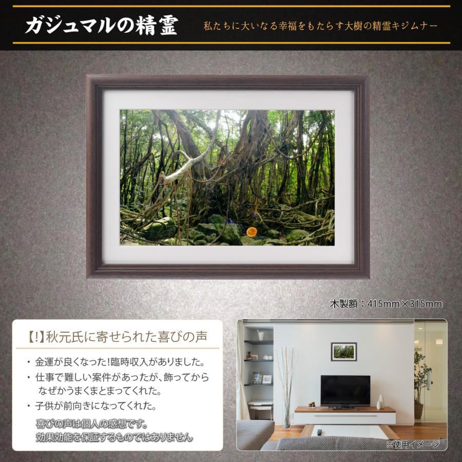 開運 - 不思議なことの活動写真 ガジュマルの霊魂 秋元隆良 グッズ 写真絵 活動写真