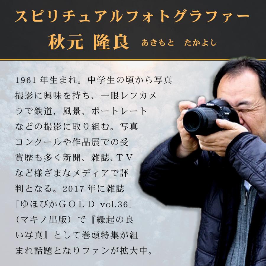 開運 - 不思議なことの活動写真 ガジュマルの霊魂 秋元隆良 グッズ 写真絵 活動写真