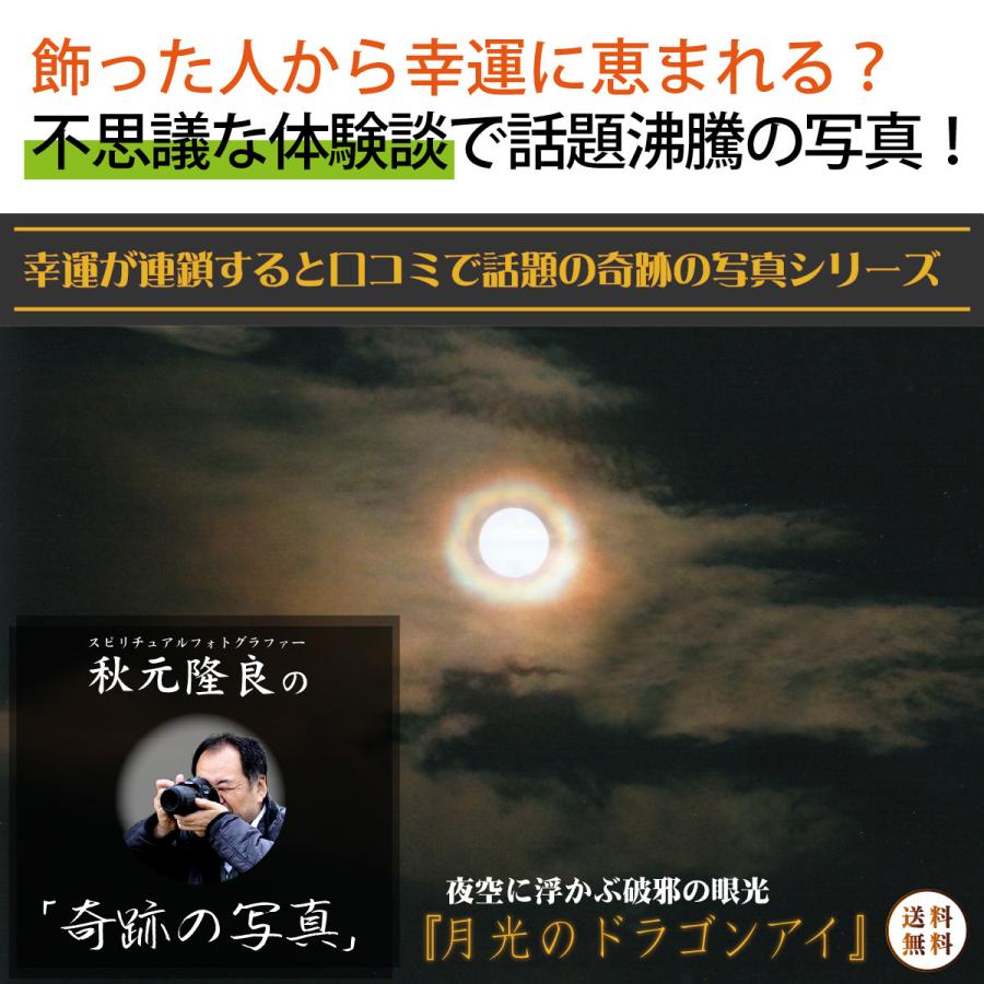 (1162) 直筆サイン入り 今滝真理子 cheap chic 小田和正 1162) 直筆サイン入り 今滝真理子 cheap chic 小田和正 注文