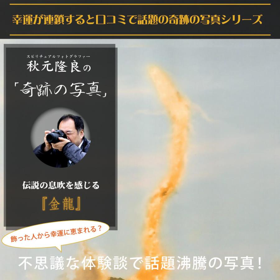 開運 奇跡の写真 金龍 秋元隆良 あきもと たかよし 開運グッズ 開運