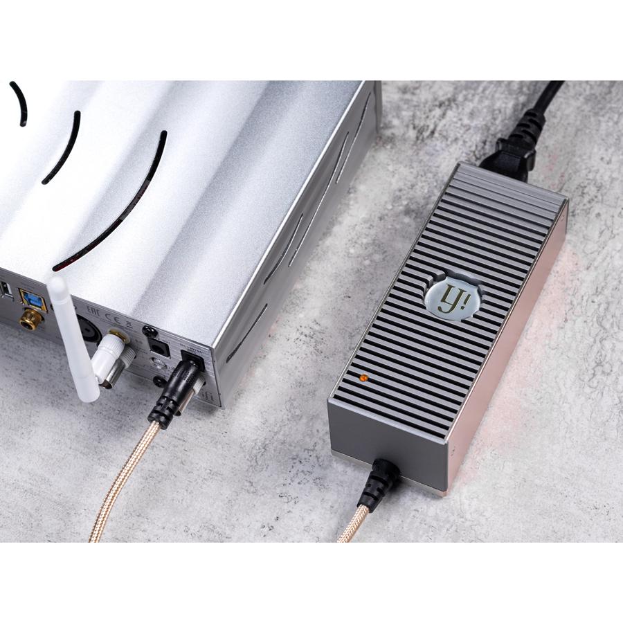 爆買い！ リジャンナショップiFi audio iPower Elite アイパワー