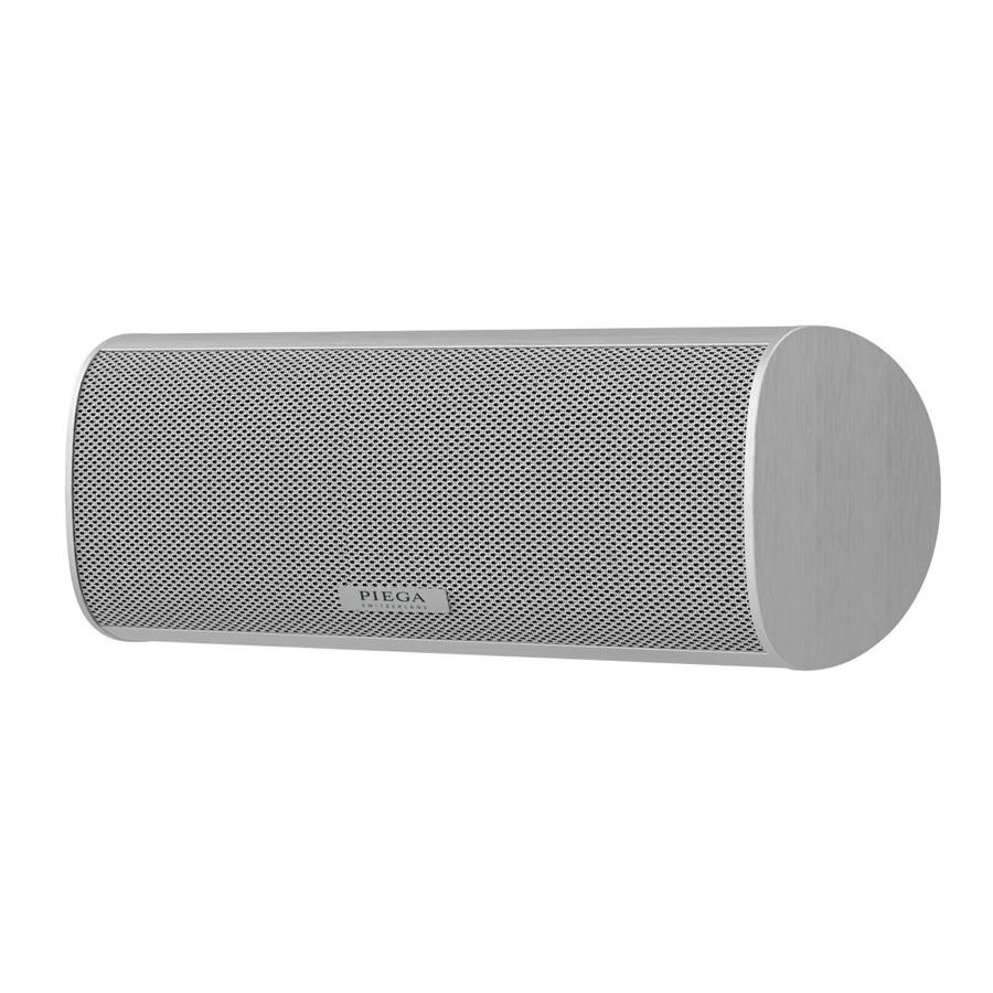 PIEGA（ピエガ） センタースピーカー ACE Center シルバー 単品