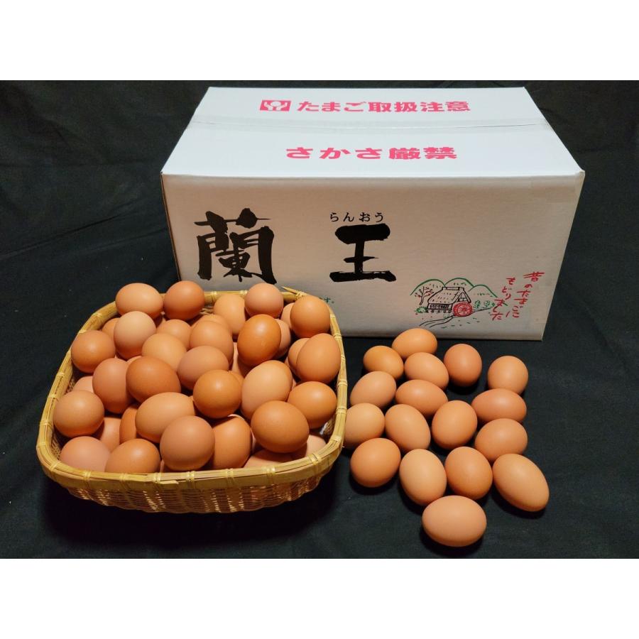 こだわりたまご“蘭王”Lサイズ 10kg【103個〜116個+破損保障40個】 鮮やかな濃いオレンジ色の卵黄色 卵 たまご 新鮮 :ranou-l10: 卵衛門 - 通販 - Yahoo!ショッピング こだわりたまご“蘭王”Lサイズ 10kg【103個〜116個+破損保障40個】 鮮やかな濃いオレンジ色の卵黄色 卵 たまご 新鮮 :ranou-l10: 卵衛門 - 通販 - Yahoo!ショッピング