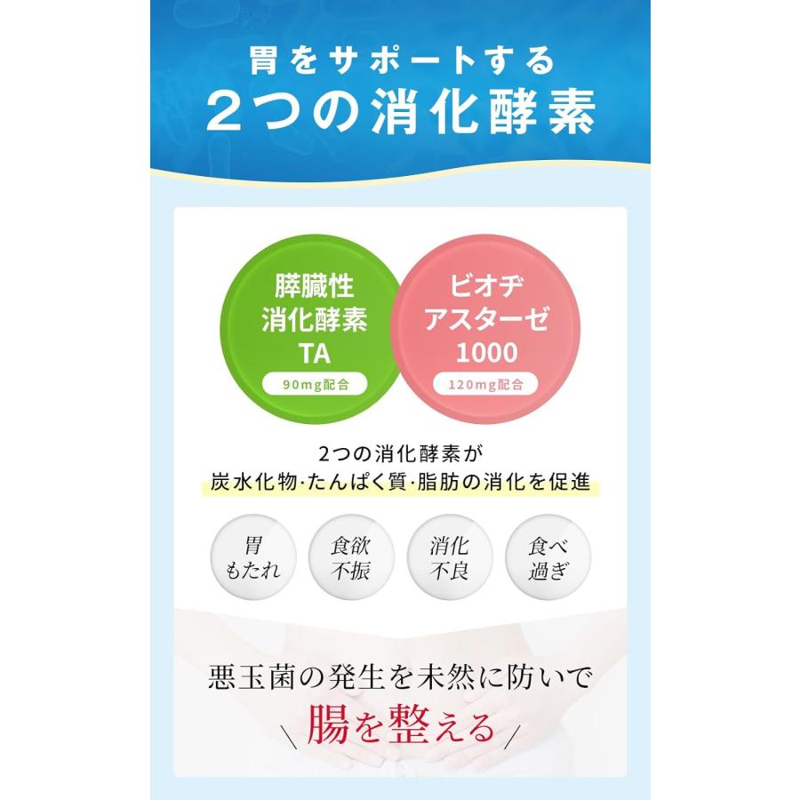 公式 ラクトロン錠 180錠 3袋 指定医薬部外品 整腸 サプリメント 公式 ラクトロン錠 180錠 3袋 指定医薬部外品 整腸 サプリメント