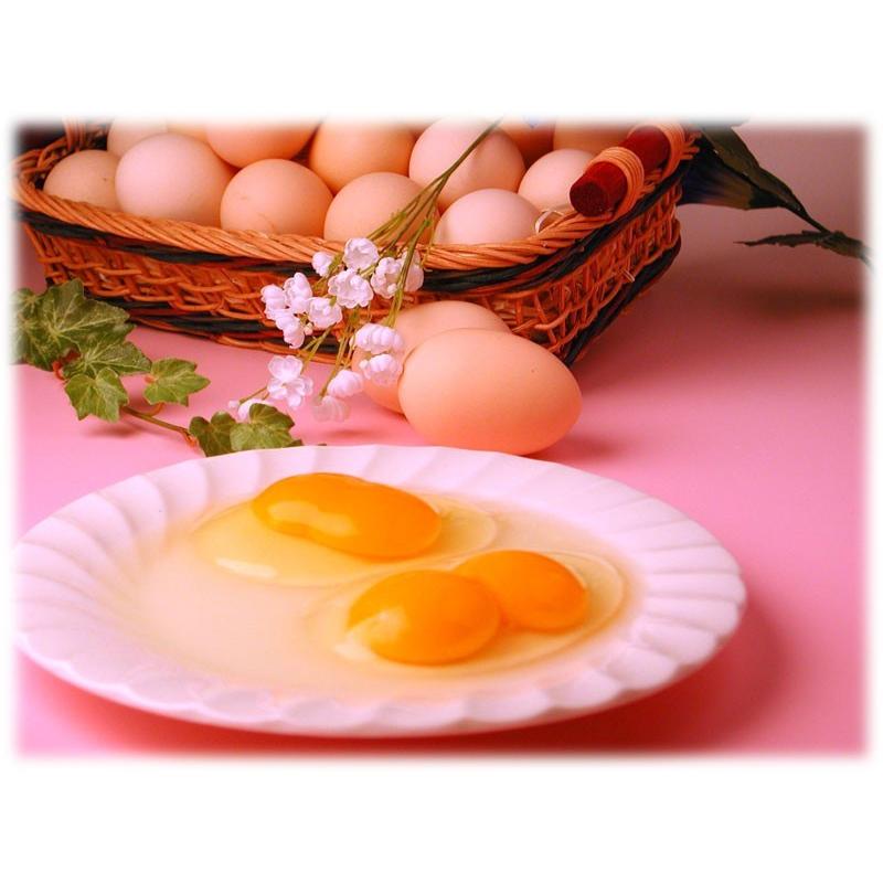 期間限定割ってビックリ たまごの中に黄身２つ 双子の卵１６個 万が一の保証で４個おまけ Huta 信州伊那谷のたまごやさんヤフー店 通販 Yahoo ショッピング