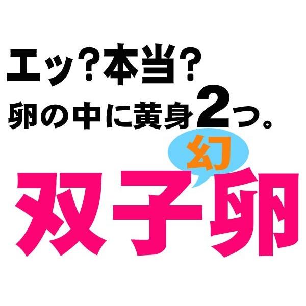 期間限定割ってビックリ、たまごの中に黄身2つ？双子の卵16個＋