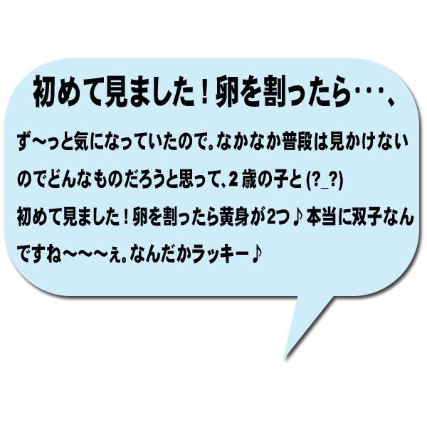 期間限定割ってビックリ たまごの中に黄身２つ 双子の卵１６個 万が一の保証で４個おまけ Huta 信州伊那谷のたまごやさんヤフー店 通販 Yahoo ショッピング
