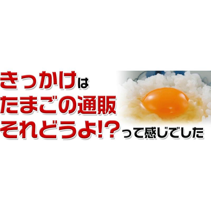 ■定期購入■さくら卵 30個 あすつく 純国産鶏 産地直送 朝採れ 朝どり 信州産 本州四国 送料無料 卵かけご飯 お菓子作り｜tamagoyasan-y｜02