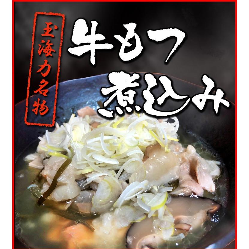 牛もつ煮込み Siomotsu01 ちゃんこ玉海力 ヤフー店 通販 Yahoo ショッピング