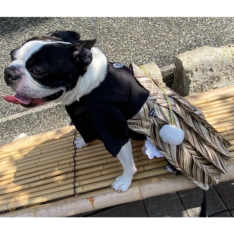 Tigger*tigger*　出品 わんちゃんの袴の着物　オーダー２着 Tigger tigger 様専用 出品 わんちゃんの袴の着物 オ ダ 着 Pocahontas