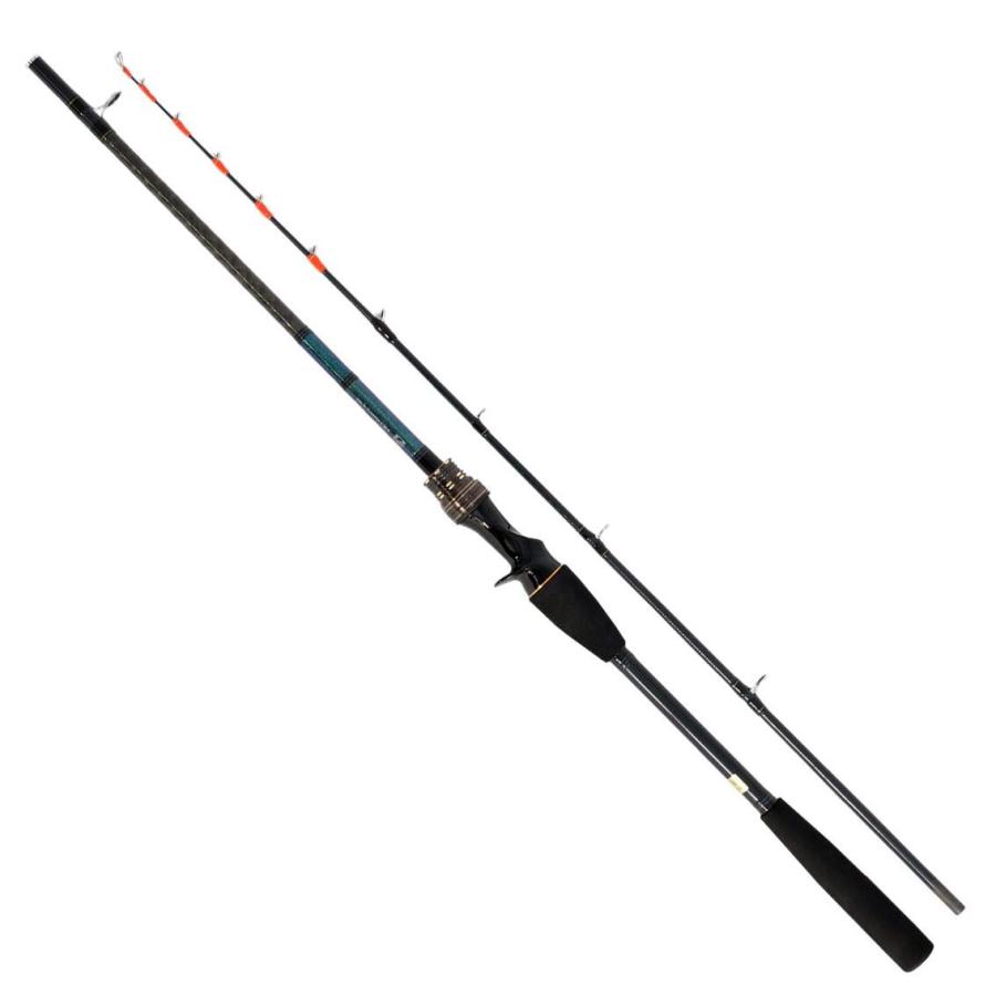 TENYA TACHIUO X 180cm 釣り竿 ダイワ(DAIWA) 船竿 テンヤタチウオ X 180・R 釣り竿 : たま実屋商店