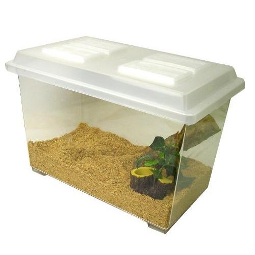 コバエをシャットアウト！】昆虫飼育ケース コバエシャッター【大