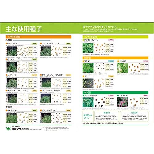 ロンタイ グリーンバッグ 植物土のう 100枚入 : たま実屋商店