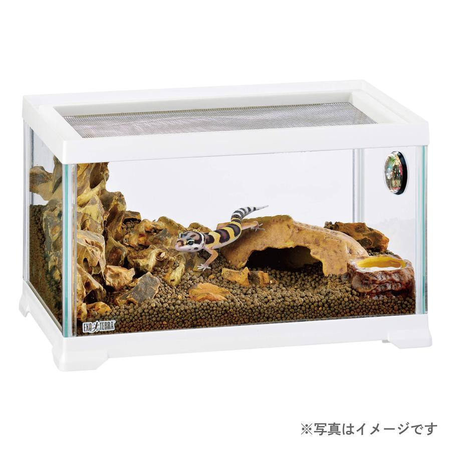 エキゾテラ GEX EXOTERRA レプテリア レオパ飼育キットS 爬虫類 エキゾテラ GEX EXOTERRA レプテリア レオパ飼育キットS 爬虫類