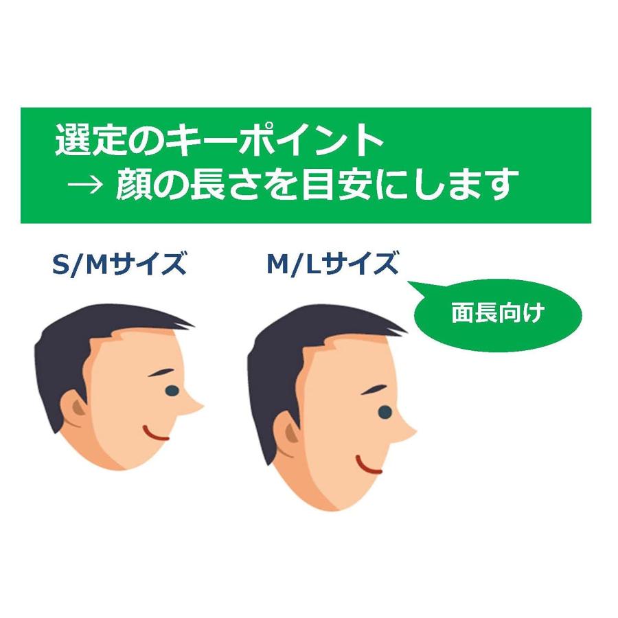 [GVS] ジャパン エリプスインテグラ防じんマスク 国家検定合格品 使用区分RL3 ゴーグル一体型3/4面体 大きめサイズ(M/Lサイズ) ネイビー