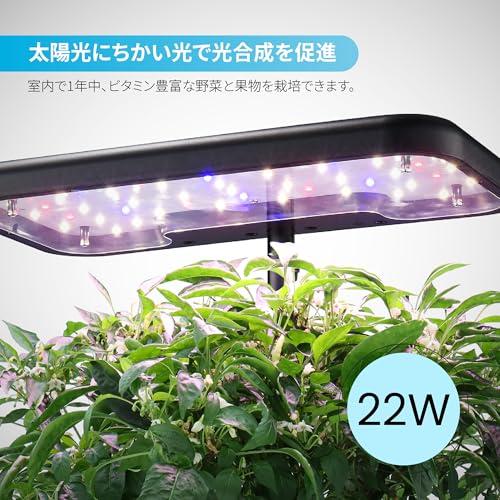 iDOO 水耕栽培キット すいこう栽培キット 家庭菜園 室内 水耕