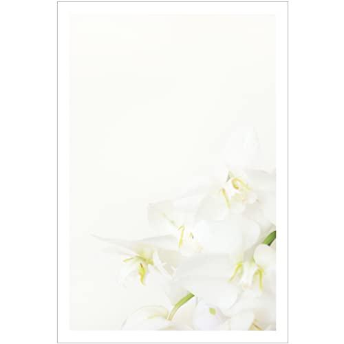 弔事用 絵柄のみ 10枚 胡蝶蘭切手付き官製ハガキ〈ST107 胡蝶蘭〉喪中