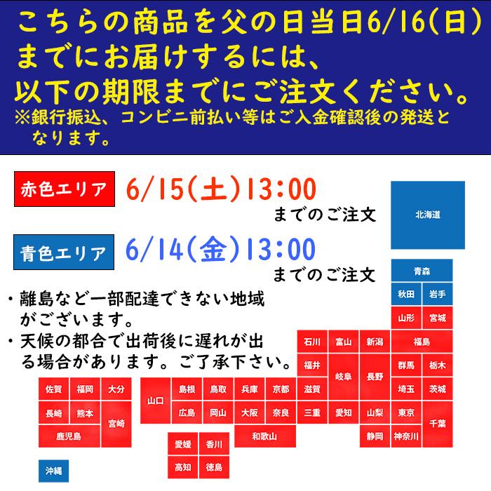 父の日 ギフト 玉乃光 日本酒 純米大吟醸 純米吟醸 定番5種飲み比べセット みぞれ酒 化粧箱入 送料無料 ラッピング無料 御祝 内祝い 内祝 お返し｜tamanohikari｜14