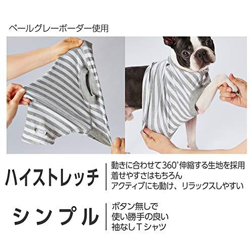 ペティオ (Petio) E-Stretch スキンTシャツ ミディアムレッド XS サイズ｜tamari-do｜05