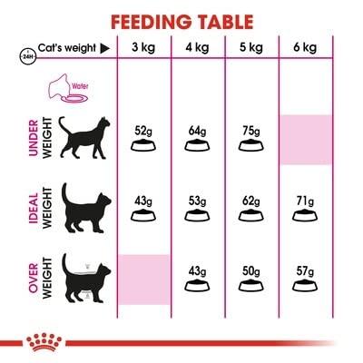 ロイヤルカナン FHN プロテイン エクシジェント 成猫用 4kgの画像