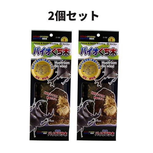 オオハマボウ2本セット2番の木はチョイス品の木と交換できます！ フラワーマーケット花由 夏の代名詞 ほおずき inバスケット