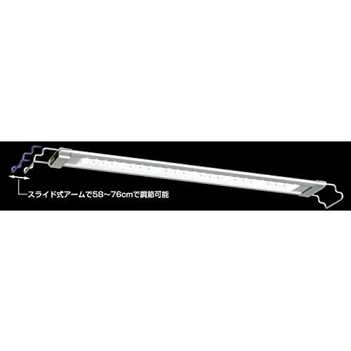 テトラ | (Tetra) 0 ライト パワーLEDプレミアム 2点セットテトラ