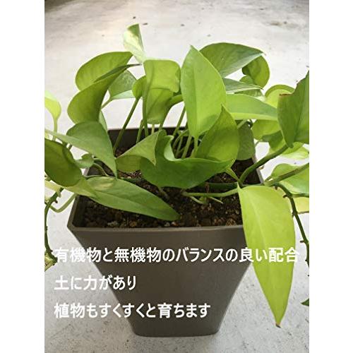 自然応用科学 観葉植物を楽しむ培養土5L 室内向け 水はけが良い｜tamari-do｜06