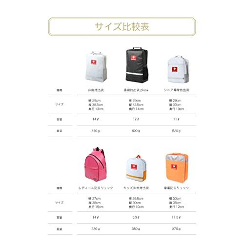 非常持出袋（単品） 防災リュック 防炎・防水・防汚素材 畜光・反射材
