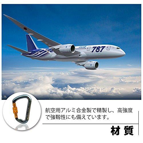 カラビナ 登山用 オートロック (自動式) 安全環付き カラビナ 30KN D環 CE認証 操作簡単 アルミニウム合金製 超軽量 ア カラビナ 登山用 オートロック (自動式) 安全環付き カラビナ 30KN D環 CE認証 操作簡単 アルミニウム合金製 超軽ｍｙ カラビナ 登山用  オートロック (自動式) 安全環付き 30KN D環 CE