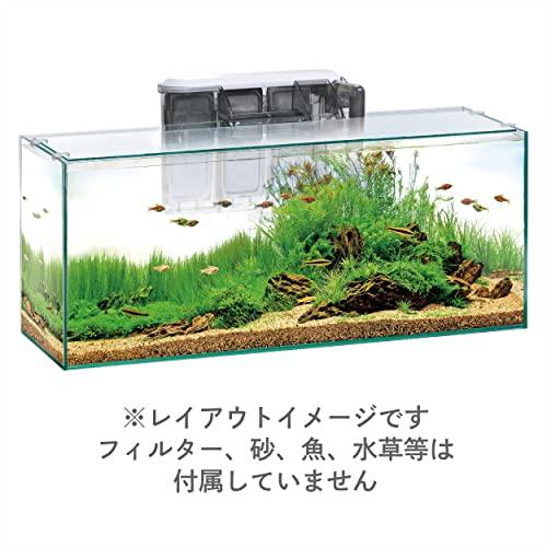 ジェックス グラステリアスリム600 フレームレス水槽 W60×D20×H25cm 約