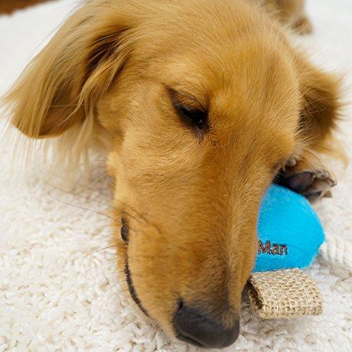 ドギーマン 犬用おもちゃ デコフル ゾウさん｜tamari-do｜04