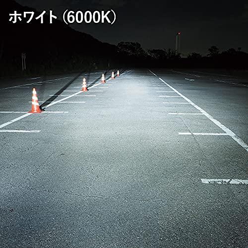 スフィアライト H19 LED ヘッドライト RIZINGα 6000K ホワイト 12V