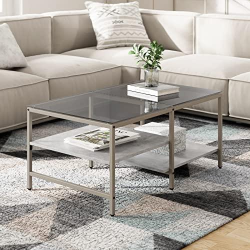 HOMOOI ローテーブル センターテーブル ガラステーブル 二段収納 強化