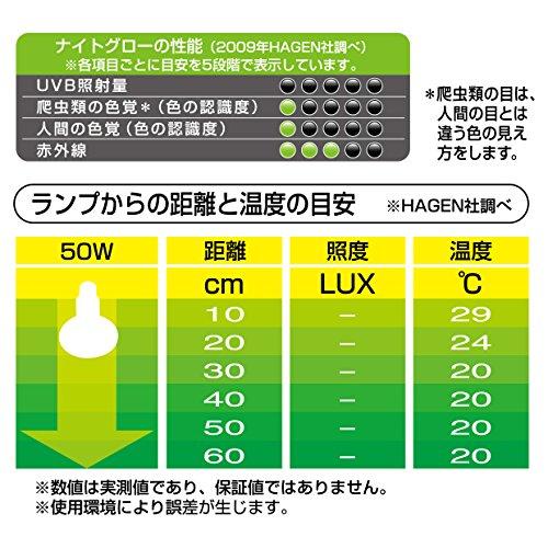 GEX EXOTERRA ナイトグロー ムーンライトランプ 50W 夜行性爬虫類用