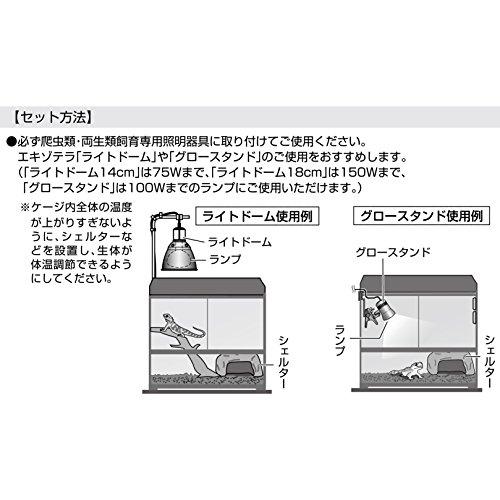 GEX EXOTERRA ナイトグロー ムーンライトランプ 50W 夜行性爬虫類用