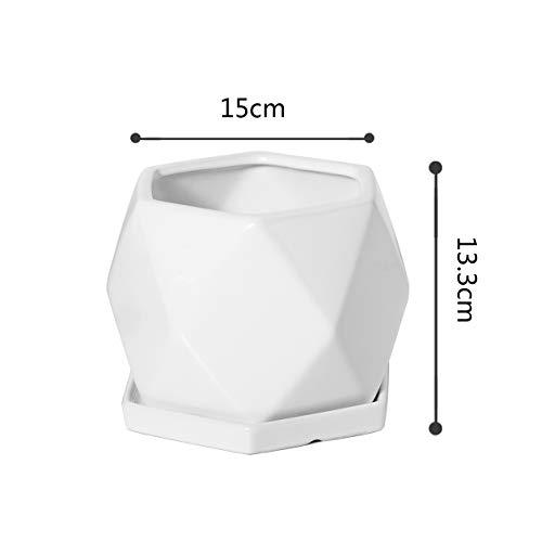 Ekirlin 陶器鉢 植木鉢 白 おしゃれ 観葉植物 皿付き プランター 鉢 底穴付き 部屋 飾りプランター インテリア シンプル 15cm｜tamari-do｜07