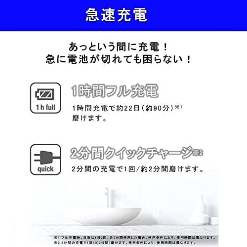 パナソニック 電動歯ブラシ ドルツ グレー EW-DA45-H : たまり堂