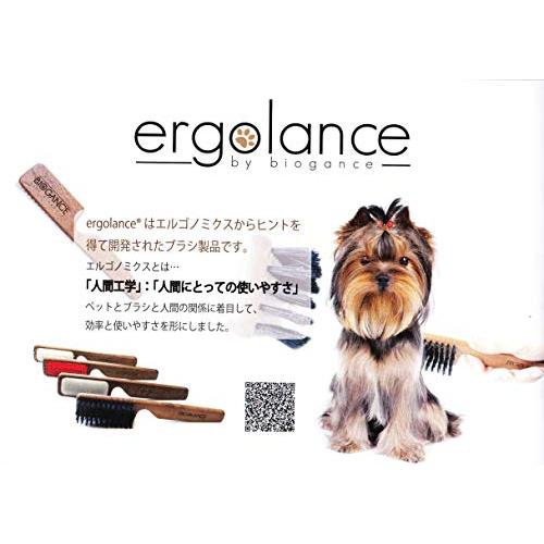 BIOGANCE 獣毛ブラシ 化粧箱入り 高級ナッツの木使用 イベント大注目