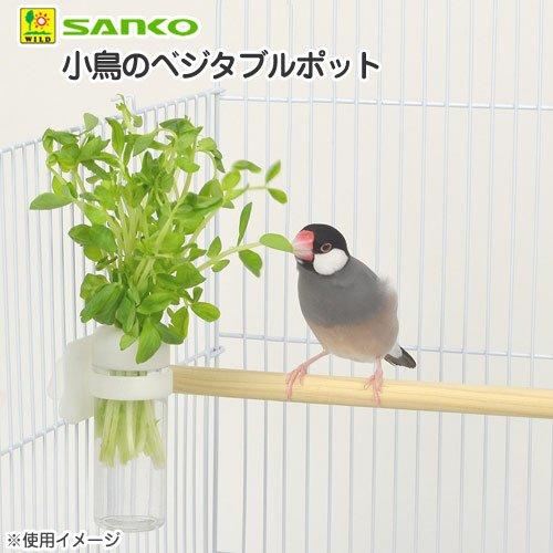 三晃商会 SANKO 小鳥のベジタブルポット｜tamari-do｜04