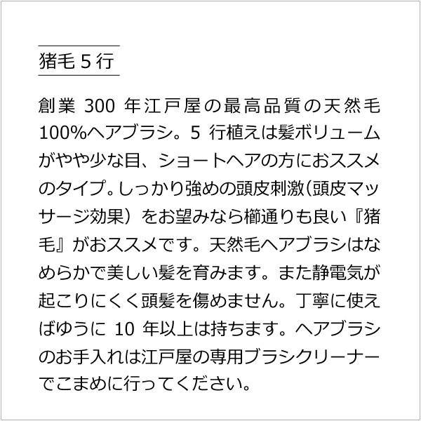 創業300年江戸屋の天然毛ヘアブラシ】猪毛5行植えヘアブラシ・豚毛