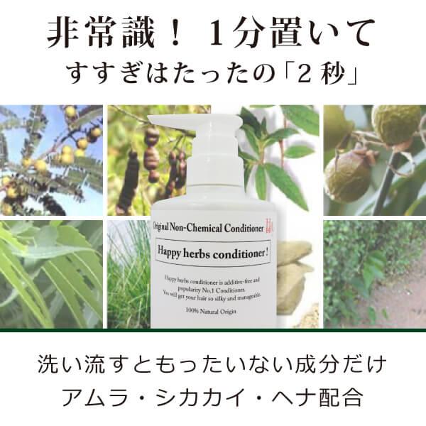 無添加 魂のハッピースマイルシャンプー（無香料）300ml（泡シャンプー詰替用）×2個＋HBコンディショナー300ml詰替用×2個 メンズ・レディース不問の画像