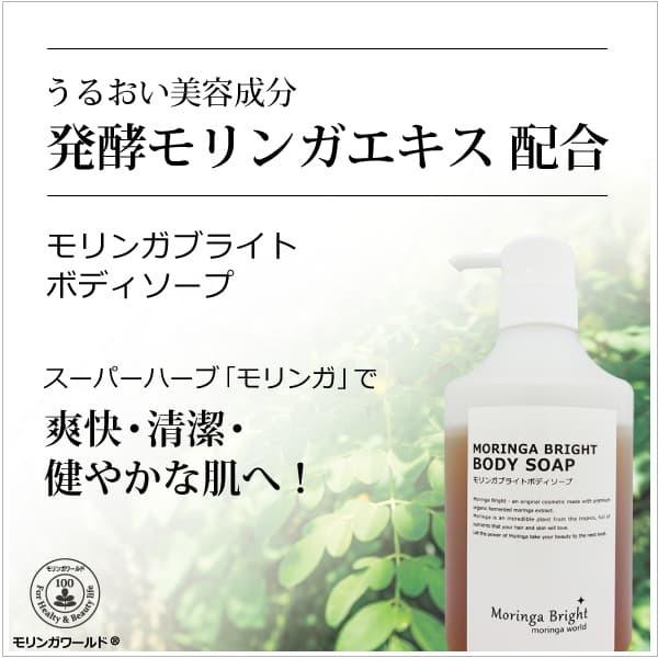 モリンガブライトボディソープ450ml 無添加洗顔 ボディソープ 国内初の保湿美容成分 乳酸菌発酵モリンガエキス 配合 ティーツリー ベルガモットの香り Bi3055 オーガニック無添加 魂の商材屋 通販 Yahoo ショッピング