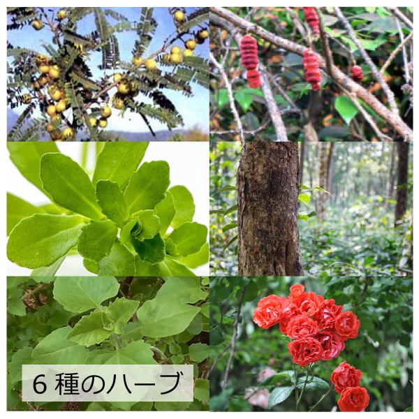 GCOOP ハラヒルズ　カシア・アムラ・シカカイ×各10袋 GCOOP ハラヒルズ カシア・アムラ・シカカイ×各10袋 - メルカリ