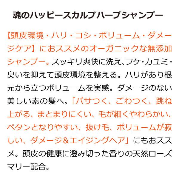 ケミカルフリー 無添加 頭皮ケア - 魂のハッピースカルプハーブシャンプー（泡シャンプー詰替用）300ml×5個 ジェンダーレス フルボ酸配合 天然ローズマリー｜tamashii｜03