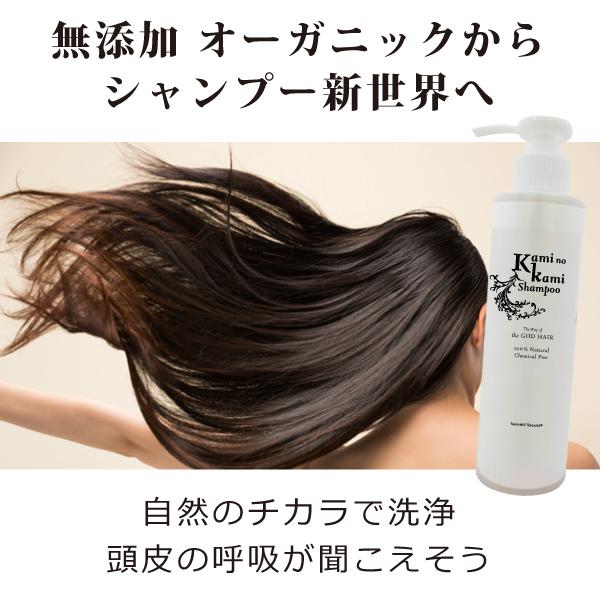 界面活性剤フリー カミノカミシャンプー200ml 植物成分100 化学成分