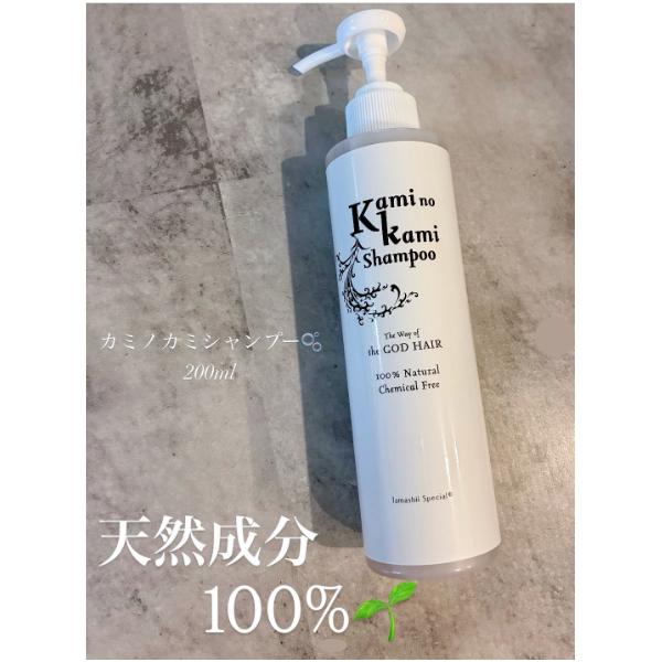 界面活性剤フリー カミノカミシャンプー（無香料）詰替用350ml 完全無